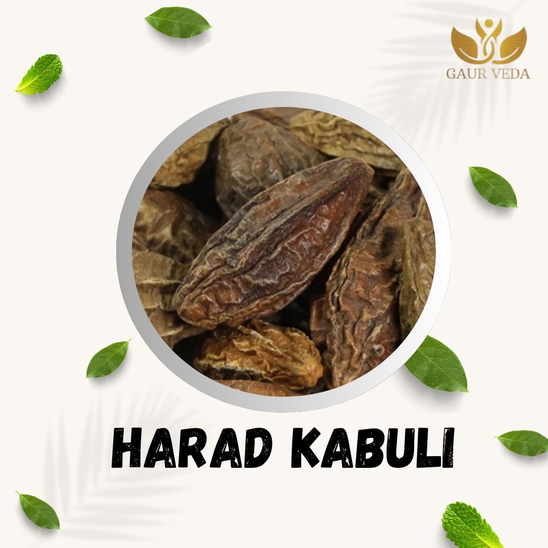 GAURVEDA Harad Kabuli 100% Natural & Pure | Traditional Ayurvedic Herb/Seed/Powder | Supports Wellness & Daily Health | Ideal for Herbal Remedies, 100 Grams