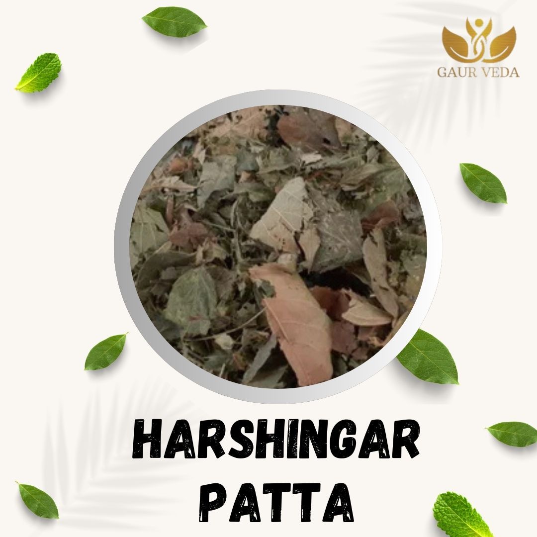 GAURVEDA Harshingar patta 100% Natural & Pure | Traditional Ayurvedic Herb/Seed/Powder | Supports Wellness & Daily Health | Ideal for Herbal Remedies, 100 Grams