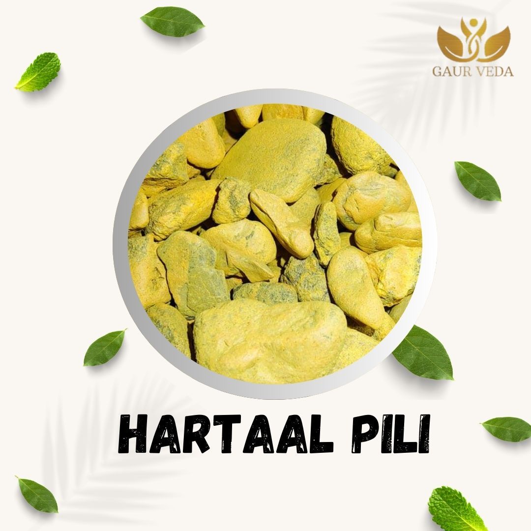 GAURVEDA Hartaal PILI 100% Natural & Pure | Traditional Ayurvedic Herb/Seed/Powder | Supports Wellness & Daily Health | Ideal for Herbal Remedies, 100 Grams