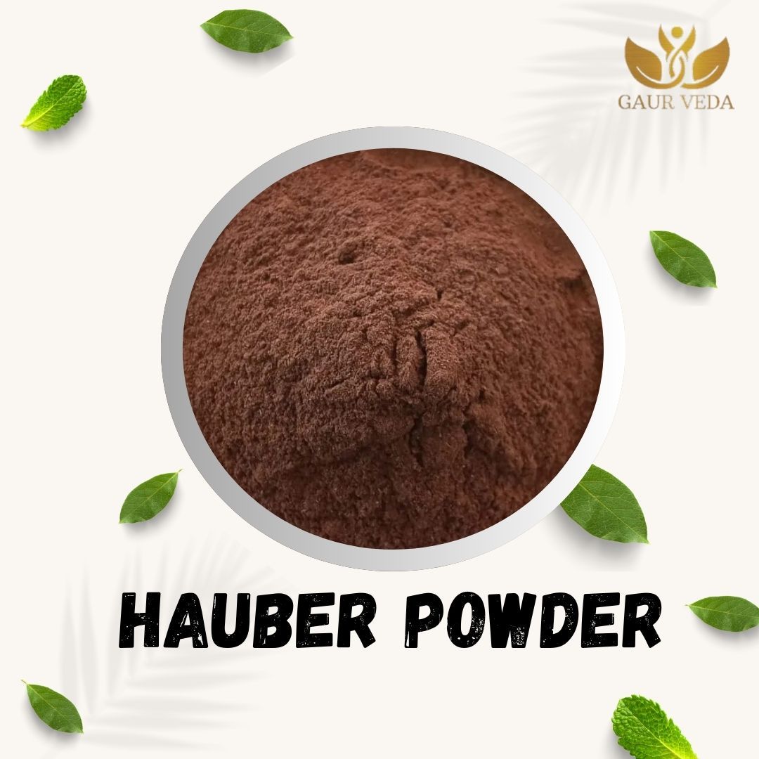 GAURVEDA Hauber Powder 100% Natural & Pure | Traditional Ayurvedic Herb/Seed/Powder | Supports Wellness & Daily Health | Ideal for Herbal Remedies, 100 Grams