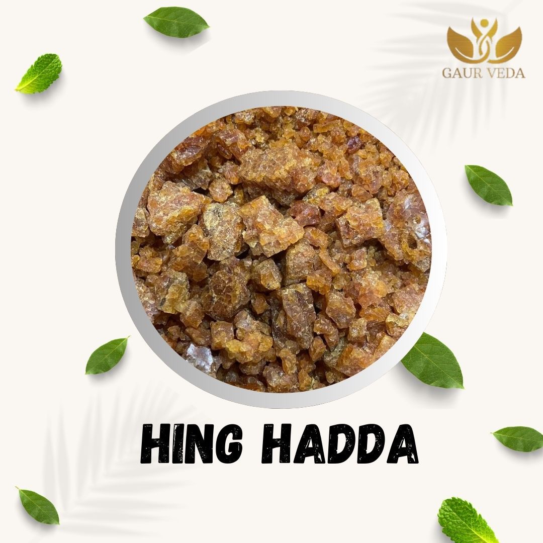 GAURVEDA Hing hadda 100% Natural & Pure | Traditional Ayurvedic Herb/Seed/Powder | Supports Wellness & Daily Health | Ideal for Herbal Remedies, 10 Grams