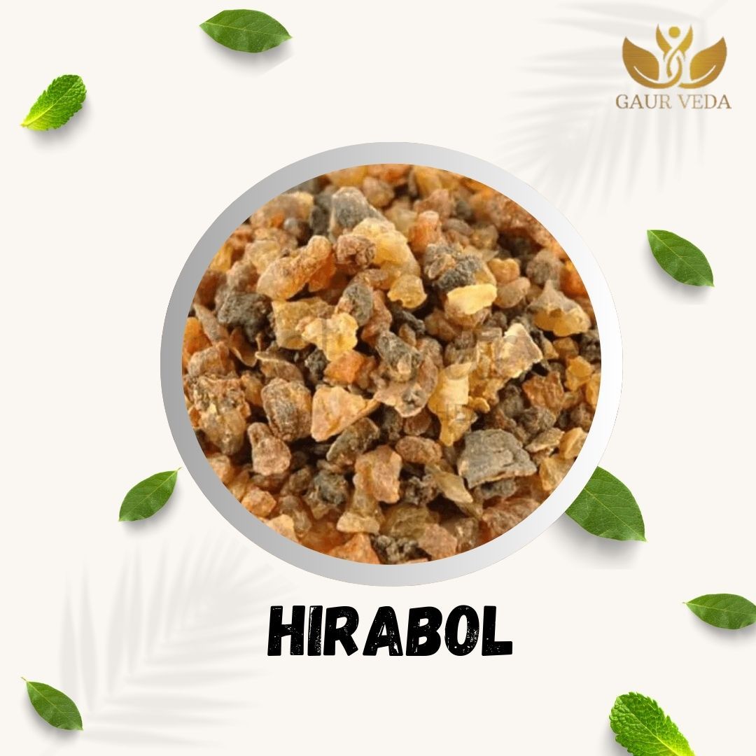 GAURVEDA Hirabol - Authentic Ayurvedic Herb | Traditional Remedy | Natural Wellness Support - Experience the Power of Ayurveda! | 100 Grams