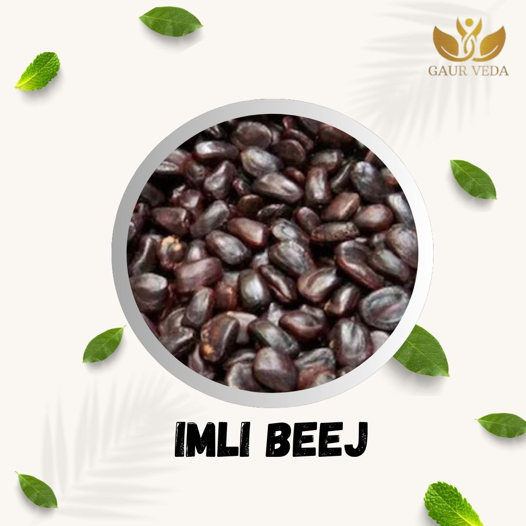 GAURVEDA Imli Beej (Tamarind Seeds)   Natural & Authentic   Rich in Nutrients   Digestive Health   Traditional Indian Superfood   | 100 Grams