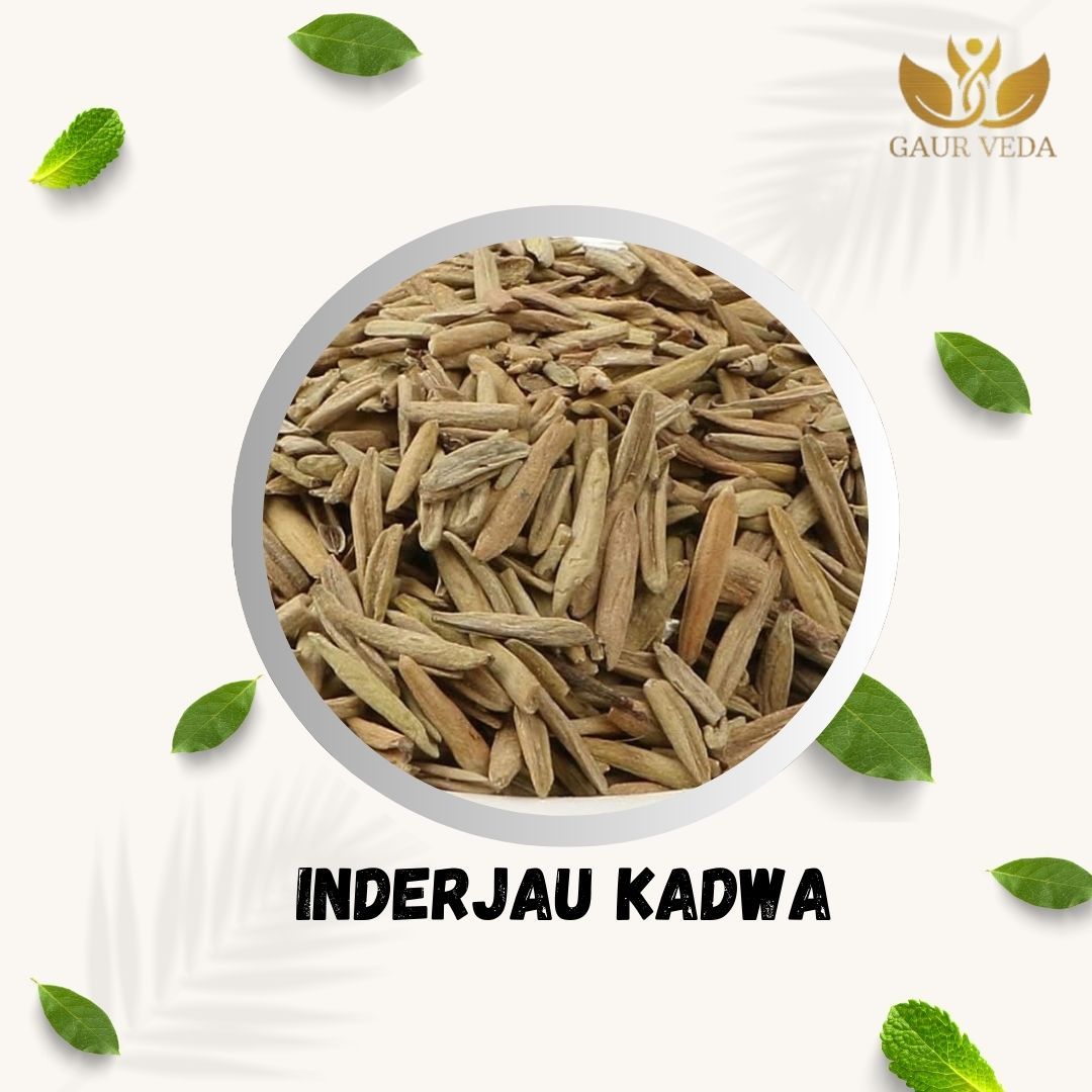 GAURVEDA Inderjau kadwa 100% Natural & Pure | Traditional Ayurvedic Herb/Seed/Powder | Supports Wellness & Daily Health | Ideal for Herbal Remedies, 100 Grams