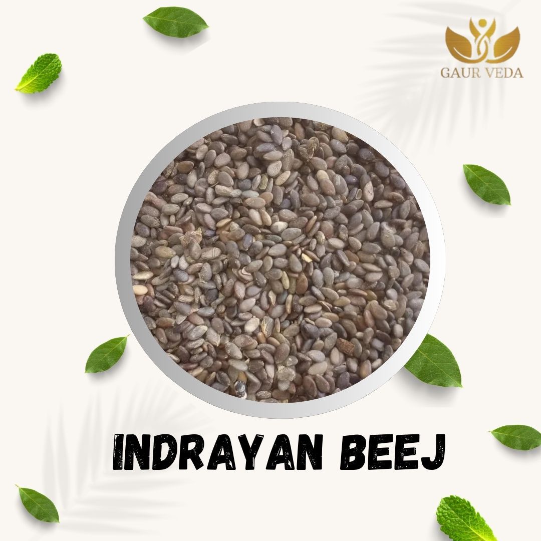 GAURVEDA Indrayan Beej - Natural Remedy Seeds for Traditional Wellness | Supports Healthy Living, Ayurvedic Herb, Pure & Authentic | 100 Grams