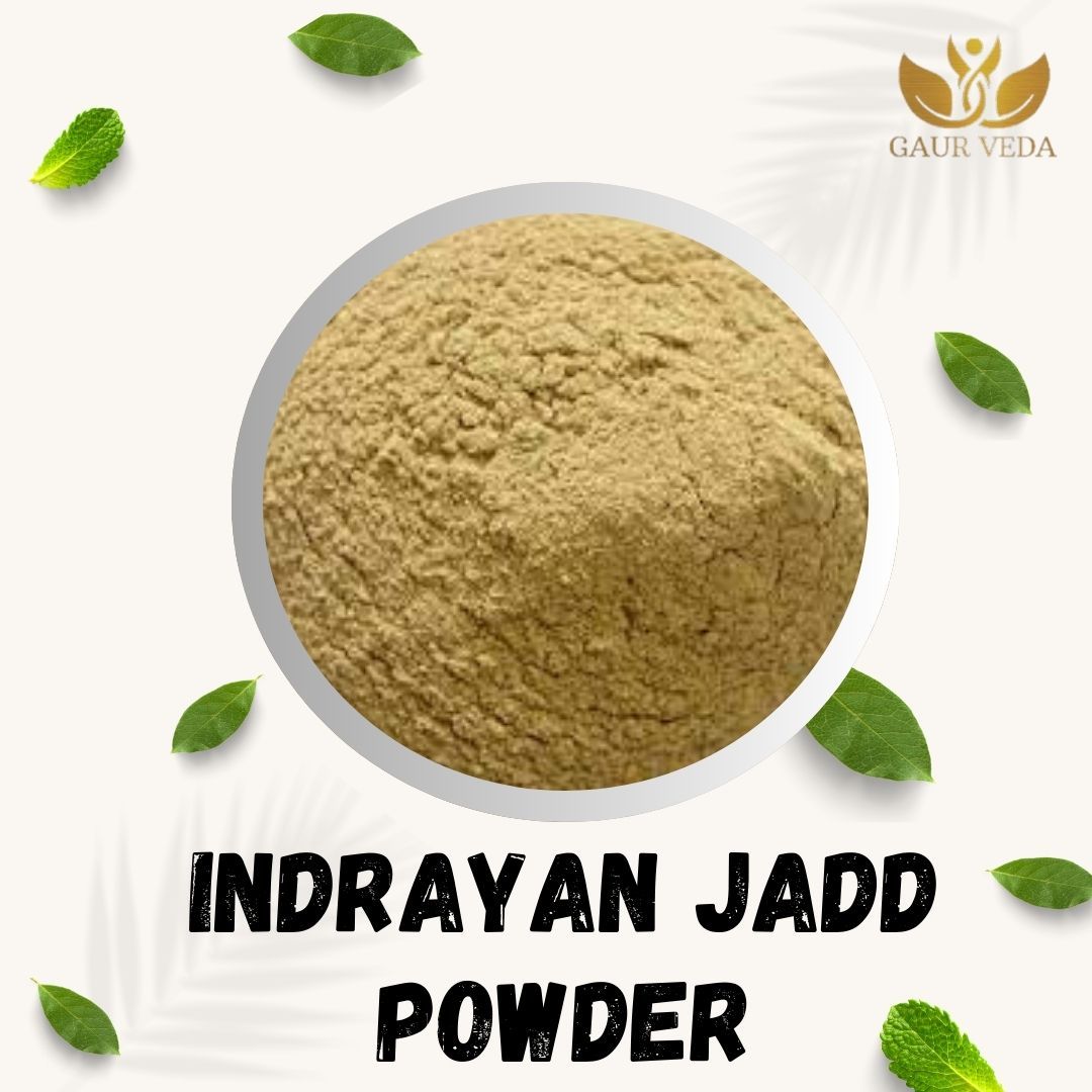 GAURVEDA Indrayan jadd Powder 100% Natural & Pure | Traditional Ayurvedic Herb/Seed/Powder | Supports Wellness & Daily Health | Ideal for Herbal Remedies, 100 Grams{34