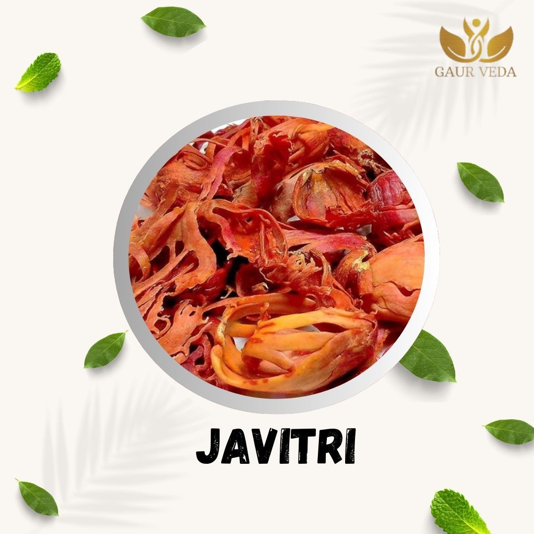 GAURVEDA Javitri (Mace) - Authentic Indian Spice for Rich Aroma & Flavor |, Handpicked & Naturally Sourced, 50g | 100 Grams