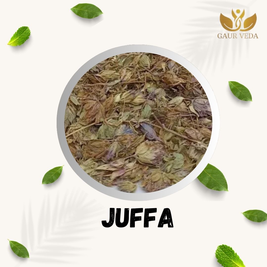 GAURVEDA Juffa 100% Natural & Pure | Traditional Ayurvedic Herb/Seed/Powder | Supports Wellness & Daily Health | Ideal for Herbal Remedies, 100 Grams