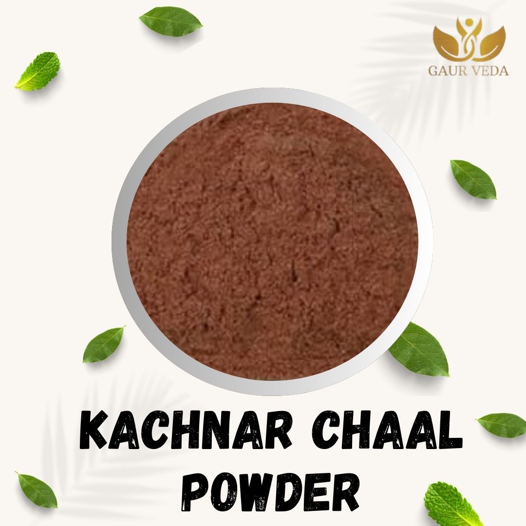 GAURVEDA Kachnar chaal Powder 100% Natural & Pure | Traditional Ayurvedic Herb/Seed/Powder | Supports Wellness & Daily Health | Ideal for Herbal Remedies, 100 Grams