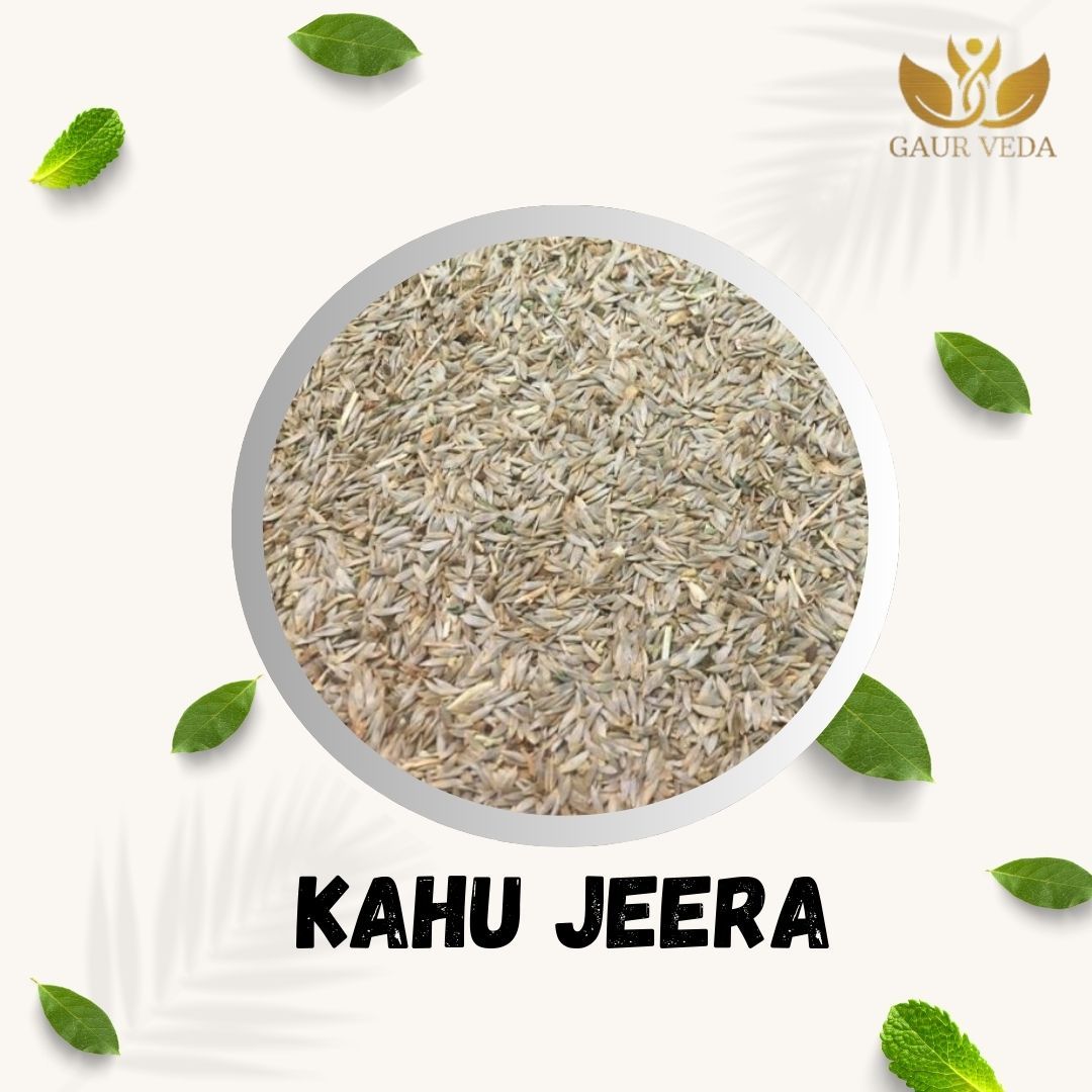 GAURVEDA Kahu Jeera | Seeds | Fresh & Aromatic Cumin | Authentic Indian Spice for Cooking & Seasoning | Pure Flavor Enhance | 100 Grams