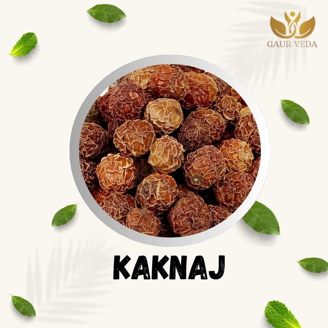 GAURVEDA Kaknaj 100% Natural & Pure | Traditional Ayurvedic Herb/Seed/Powder | Supports Wellness & Daily Health | Ideal for Herbal Remedies, 100 Grams