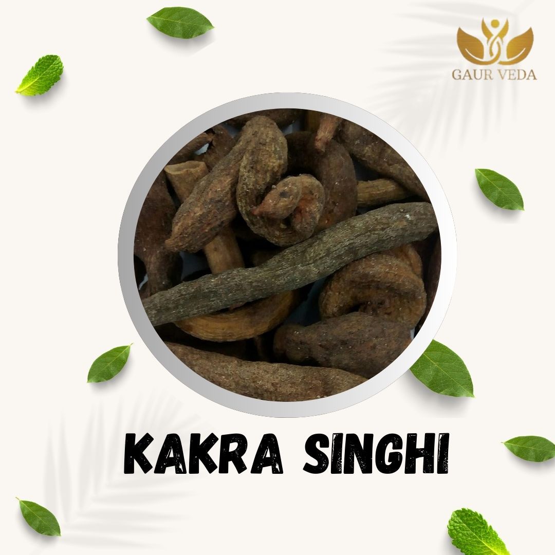 GAURVEDA Kakra Singi 100% Natural & Pure | Traditional Ayurvedic Herb/Seed/Powder | Supports Wellness & Daily Health | Ideal for Herbal Remedies, 100 Grams