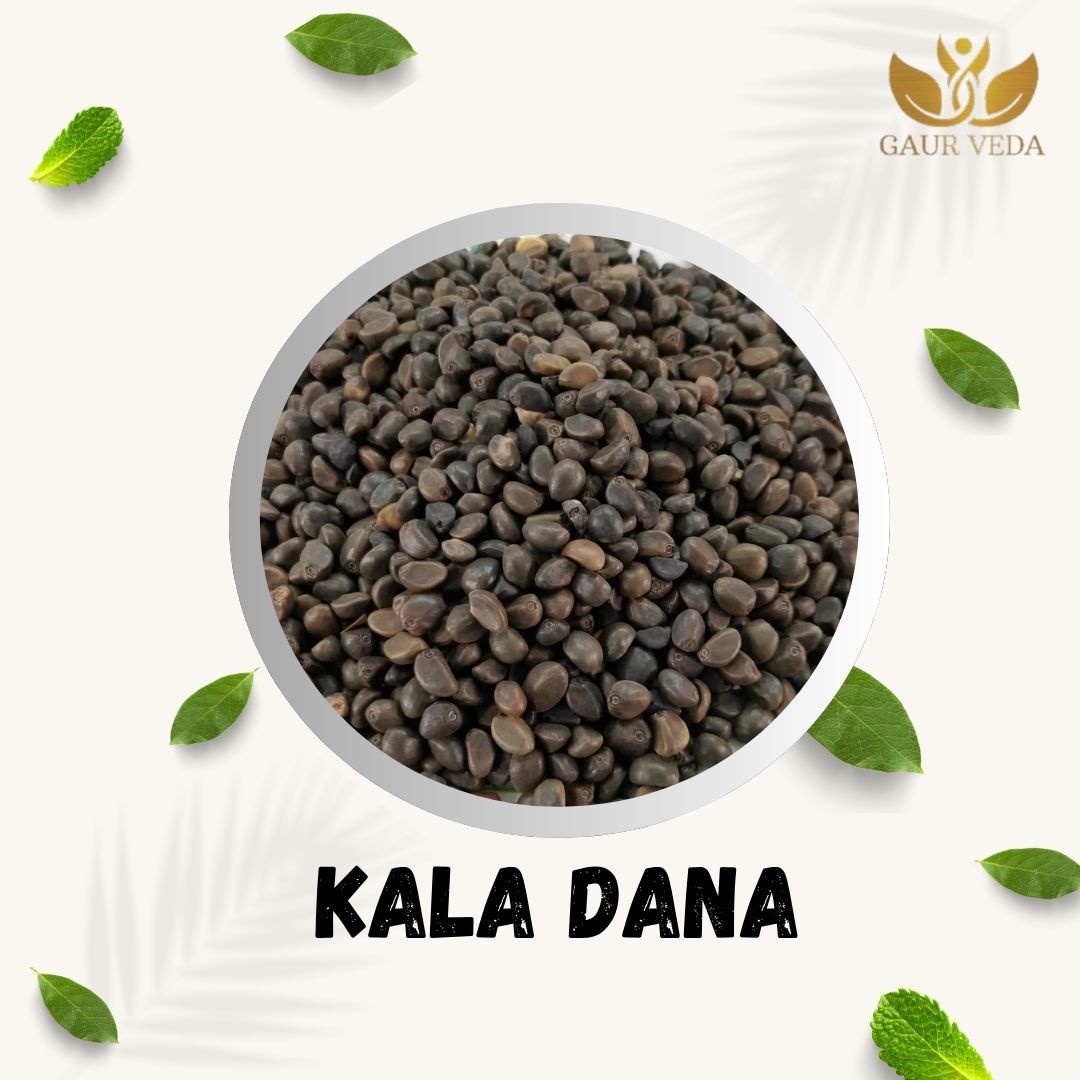 GAURVEDA Kala Dana Seeds - Healthy & Nutritious Black Seeds | Superfood Rich in Antioxidants & Minerals | Natural Immunity Booster, Gut Health Support | 100 Grams