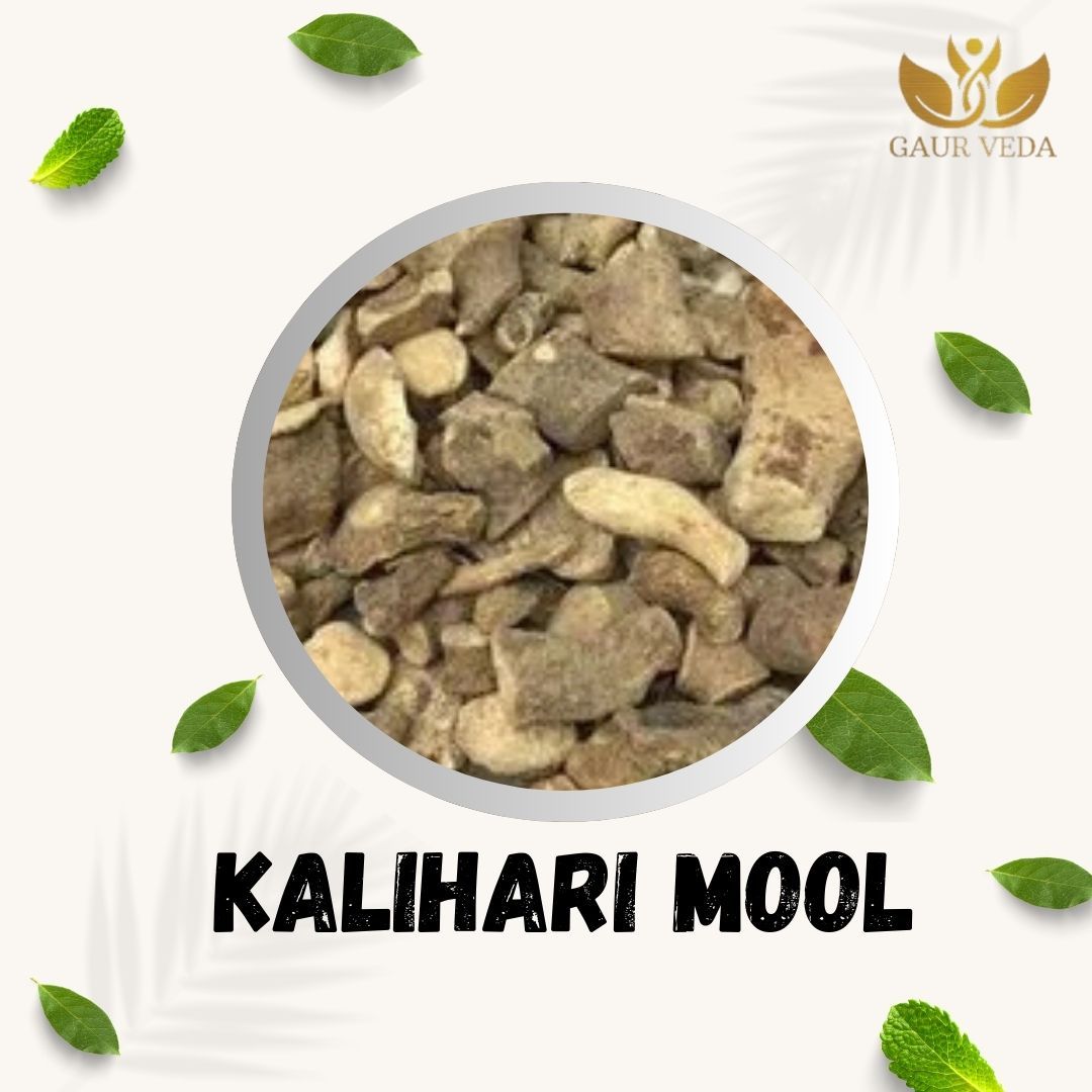GAURVEDA Kaliharimool 100% Natural & Pure | Traditional Ayurvedic Herb/Seed/Powder | Supports Wellness & Daily Health | Ideal for Herbal Remedies, 100 Grams