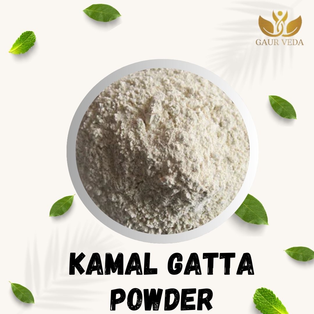 Gaurveda Kamal Gatta Powder - Nelumbo Nucifera Gaertn - Lotus Seeds Powder (100 Grams)