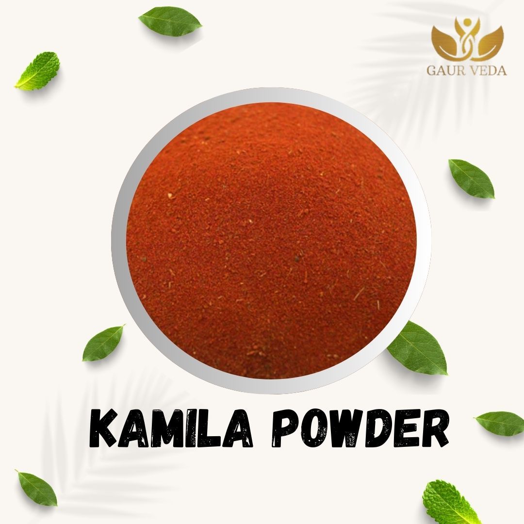 GAURVEDA Kamila Powder 100% Natural & Pure | Traditional Ayurvedic Herb/Seed/Powder | Supports Wellness & Daily Health | Ideal for Herbal Remedies, 100 Grams