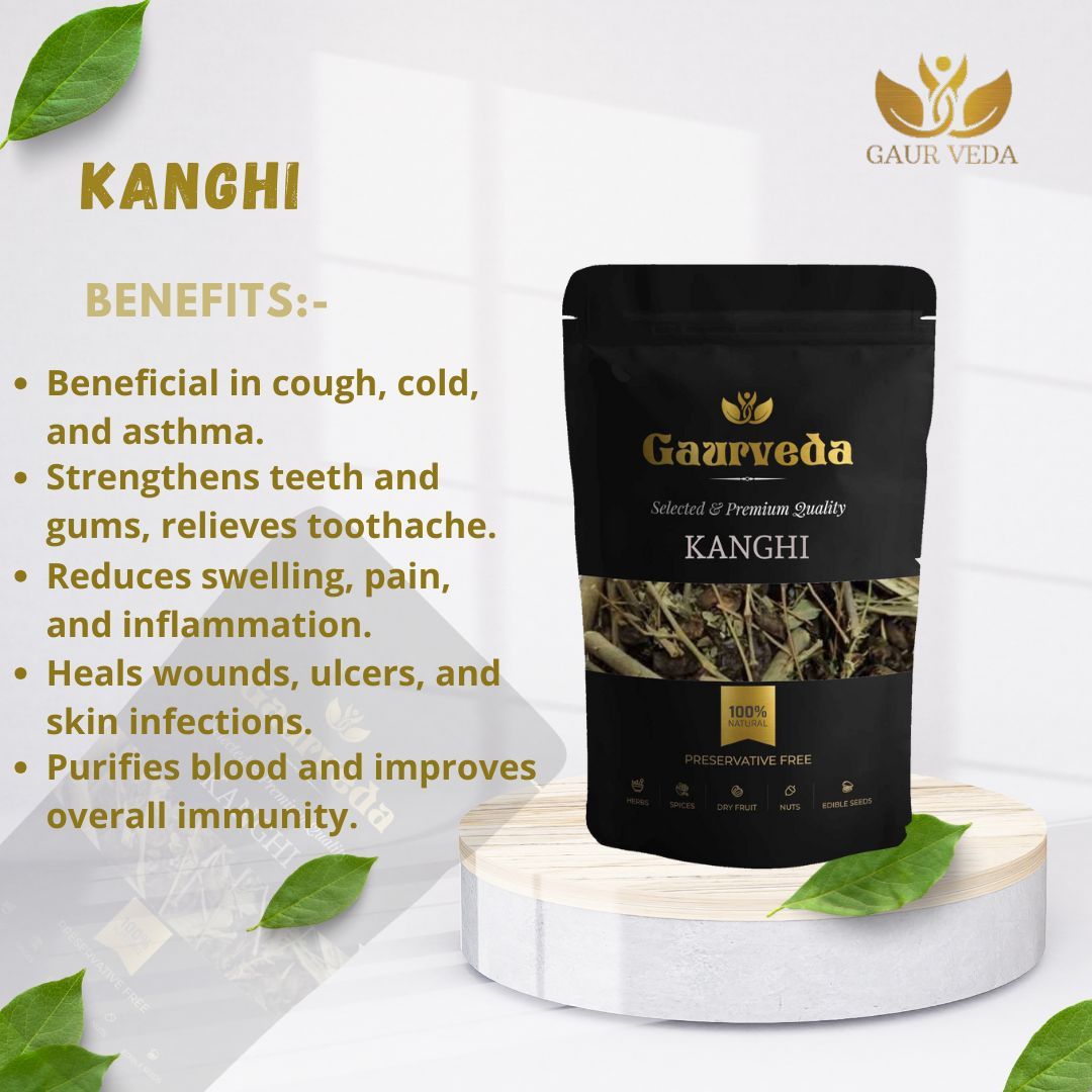 GAURVEDA Kangi 100% Natural & Pure | Traditional Ayurvedic Herb/Seed/Powder | Supports Wellness & Daily Health | Ideal for Herbal Remedies, 100 Grams{58