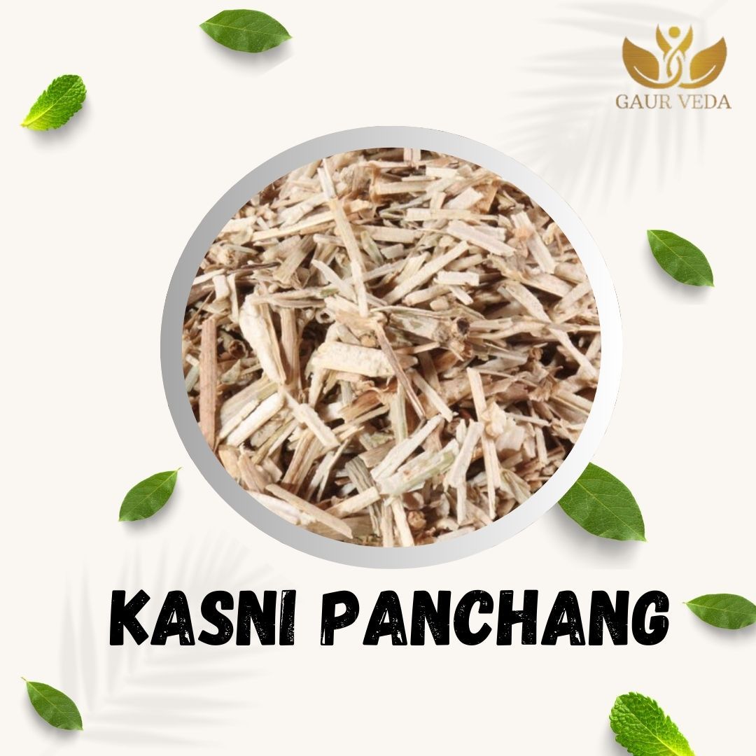GAURVEDA Kasni panchang 100% Natural & Pure | Traditional Ayurvedic Herb/Seed/Powder | Supports Wellness & Daily Health | Ideal for Herbal Remedies, 100 Grams