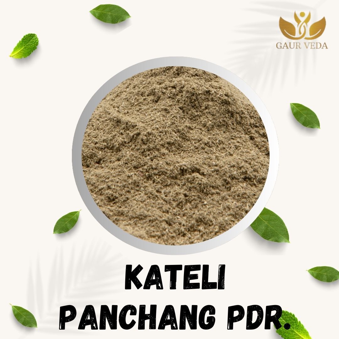 GAURVEDA Kateli panchang Powder 100% Natural & Pure | Traditional Ayurvedic Herb/Seed/Powder | Supports Wellness & Daily Health | Ideal for Herbal Remedies, 100 Grams