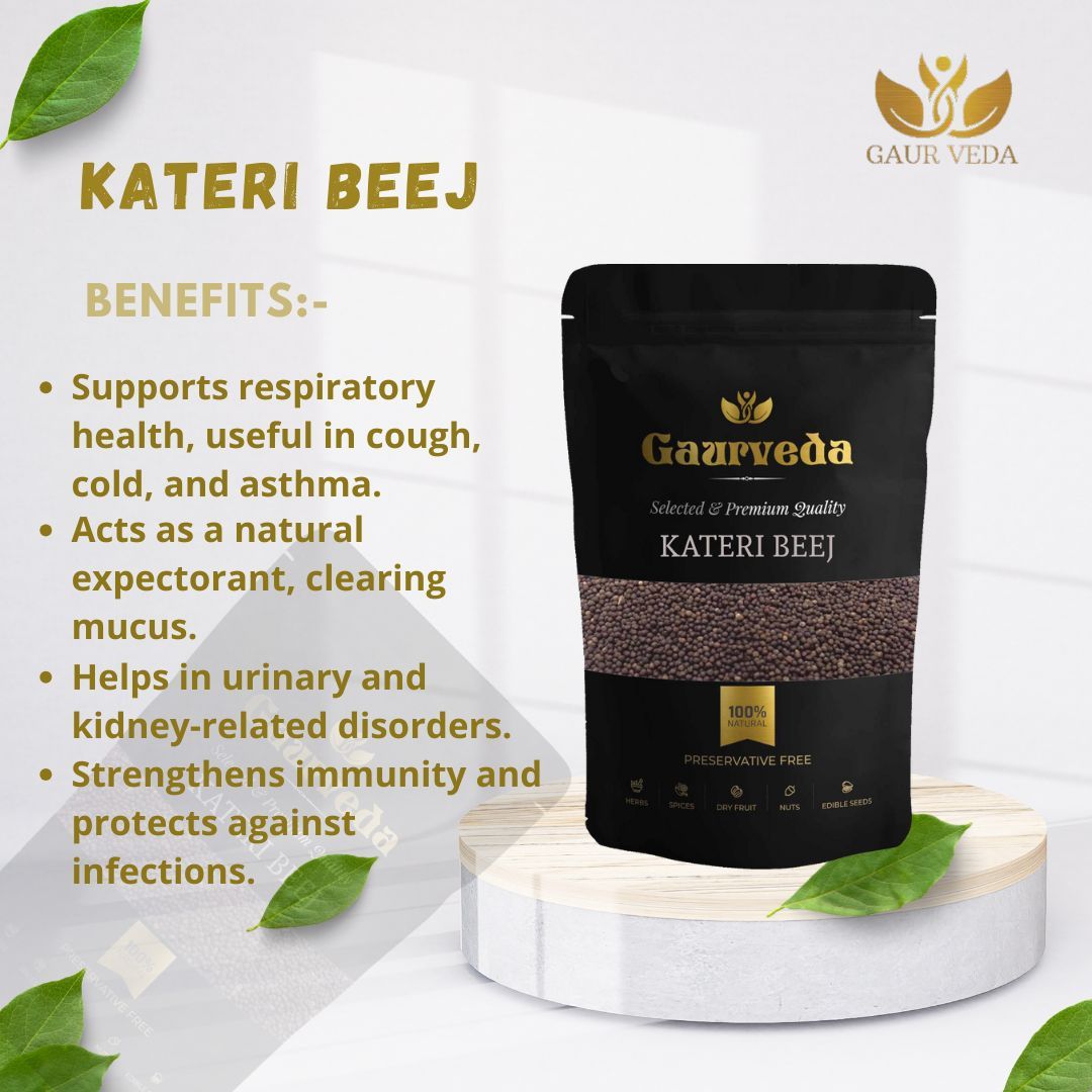 GAURVEDA Kateri Beej - Natural & Pure Seeds for Traditional Remedies, Pooja, Havan -, Freshly Sourced - Authentic Indian Herb | 100 Grams