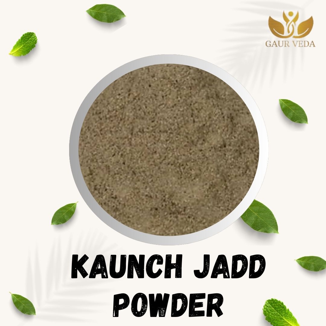 GAURVEDA Kaunch jadd Powder 100% Natural & Pure | Traditional Ayurvedic Herb/Seed/Powder | Supports Wellness & Daily Health | Ideal for Herbal Remedies, 100 Grams