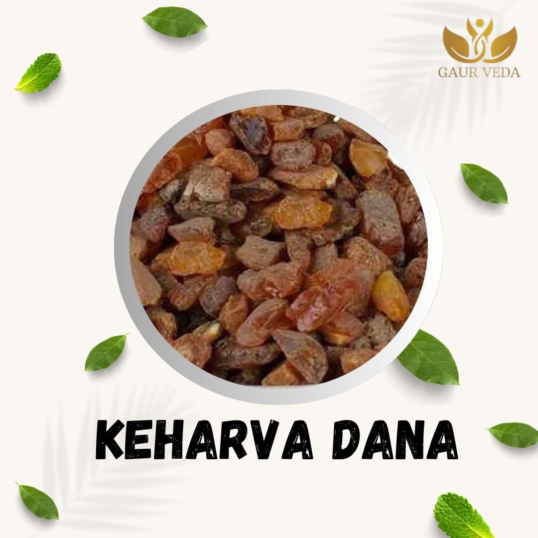 GAURVEDA Keharva Dana 100% Natural & Pure | Traditional Ayurvedic Herb/Seed/Powder | Supports Wellness & Daily Health | Ideal for Herbal Remedies, 100 Grams