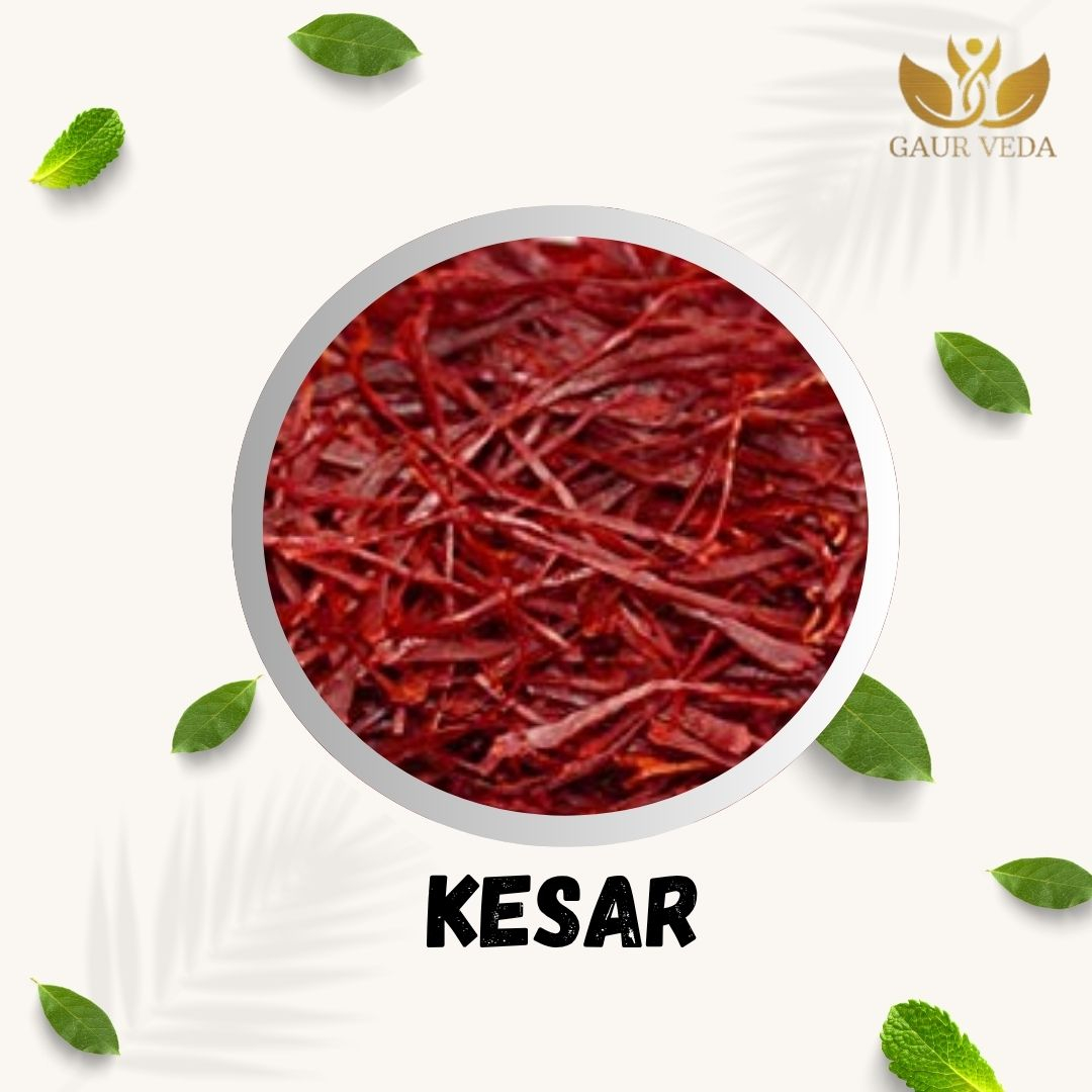 GAURVEDA Kesar - Natural Saffron 1 gm   Authentic Kesar for Cooking, Health & Wellness