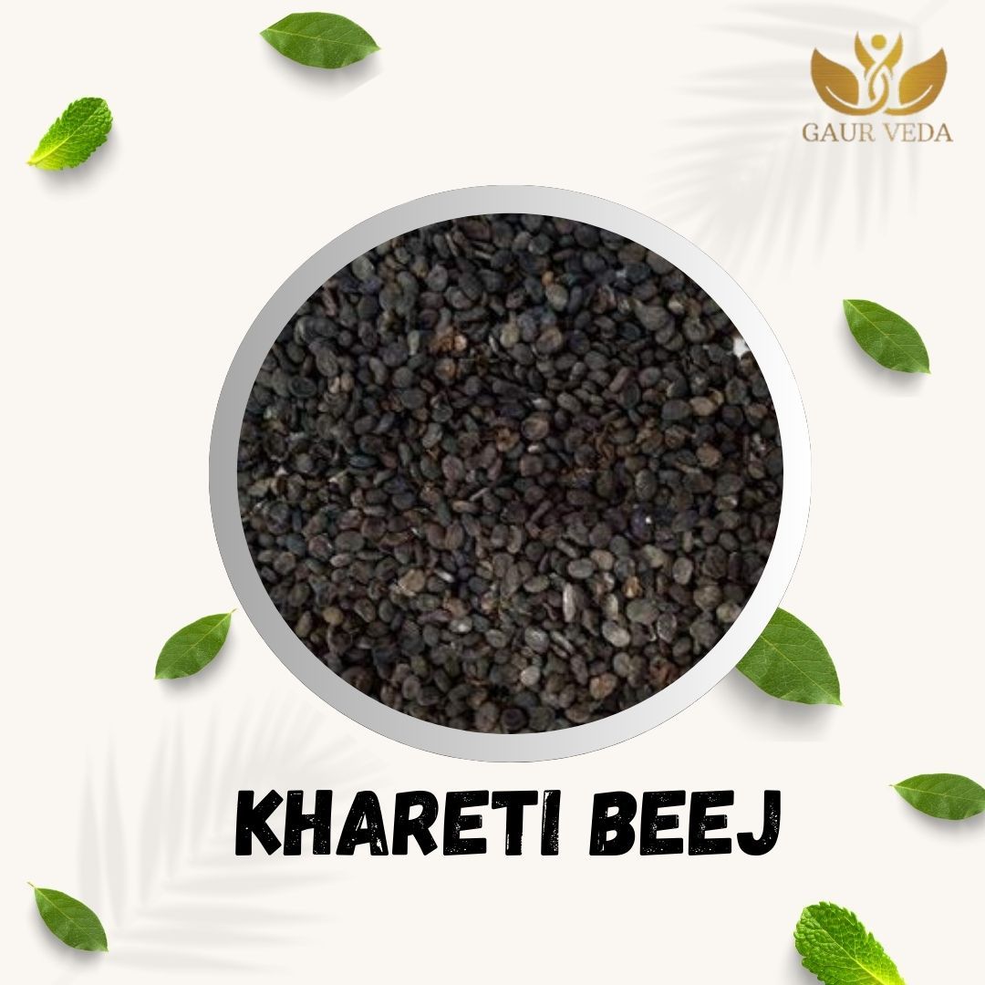 GAURVEDA Khareti Beej - Pure & Natural Seeds for Traditional Wellness | Supports Overall Health & Well-being | Ayurvedic Herb (Malva Sylvestris) | 100 Grams