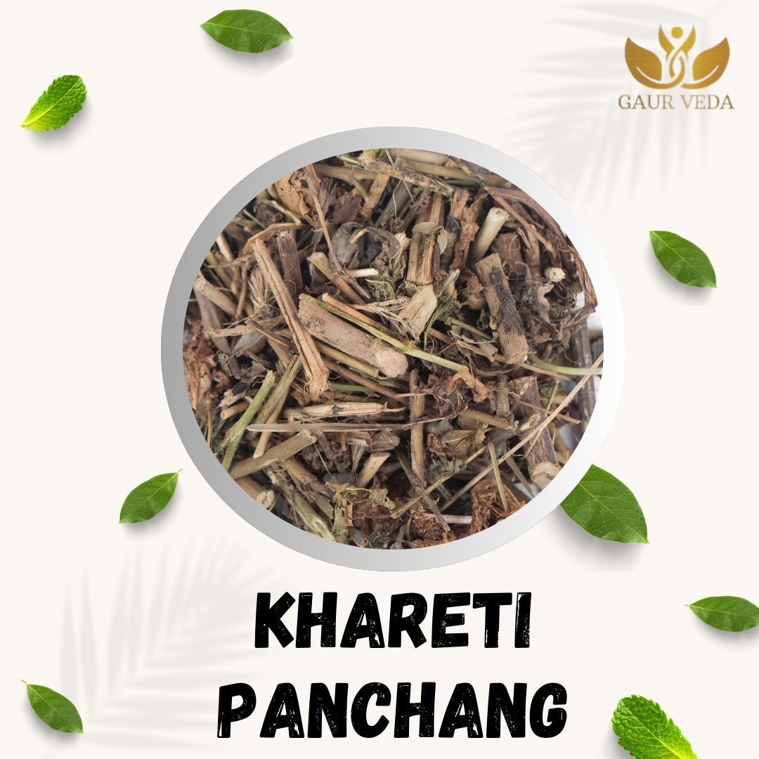 GAURVEDA Khareti panchang 100% Natural & Pure | Traditional Ayurvedic Herb/Seed/Powder | Supports Wellness & Daily Health | Ideal for Herbal Remedies, 100 Grams{74