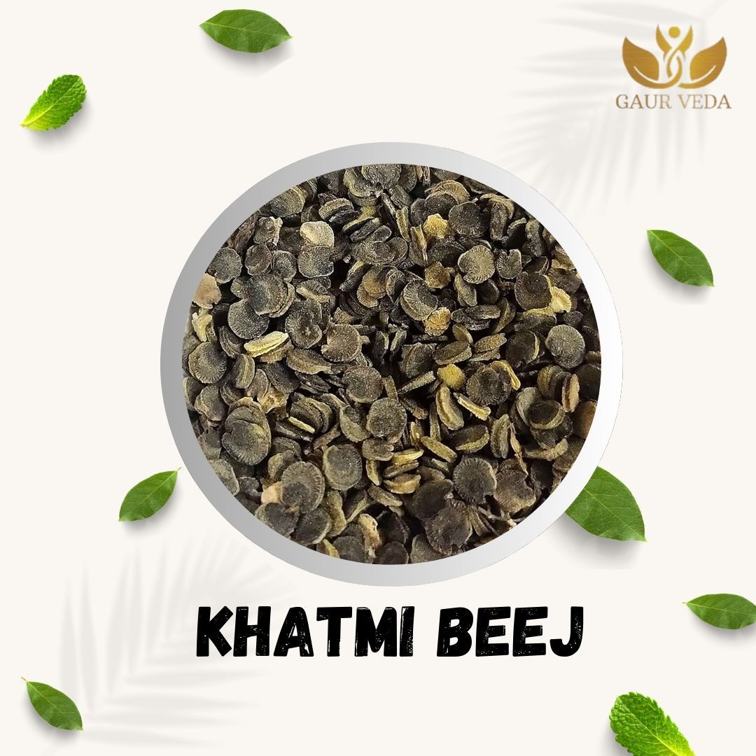 GAURVEDA Khatmi Beej (Althaea officinalis) - Natural & Pure Seeds, Ayurvedic Herb, Traditional Remedy, Quality Food Ingredient from India | 100 Grams