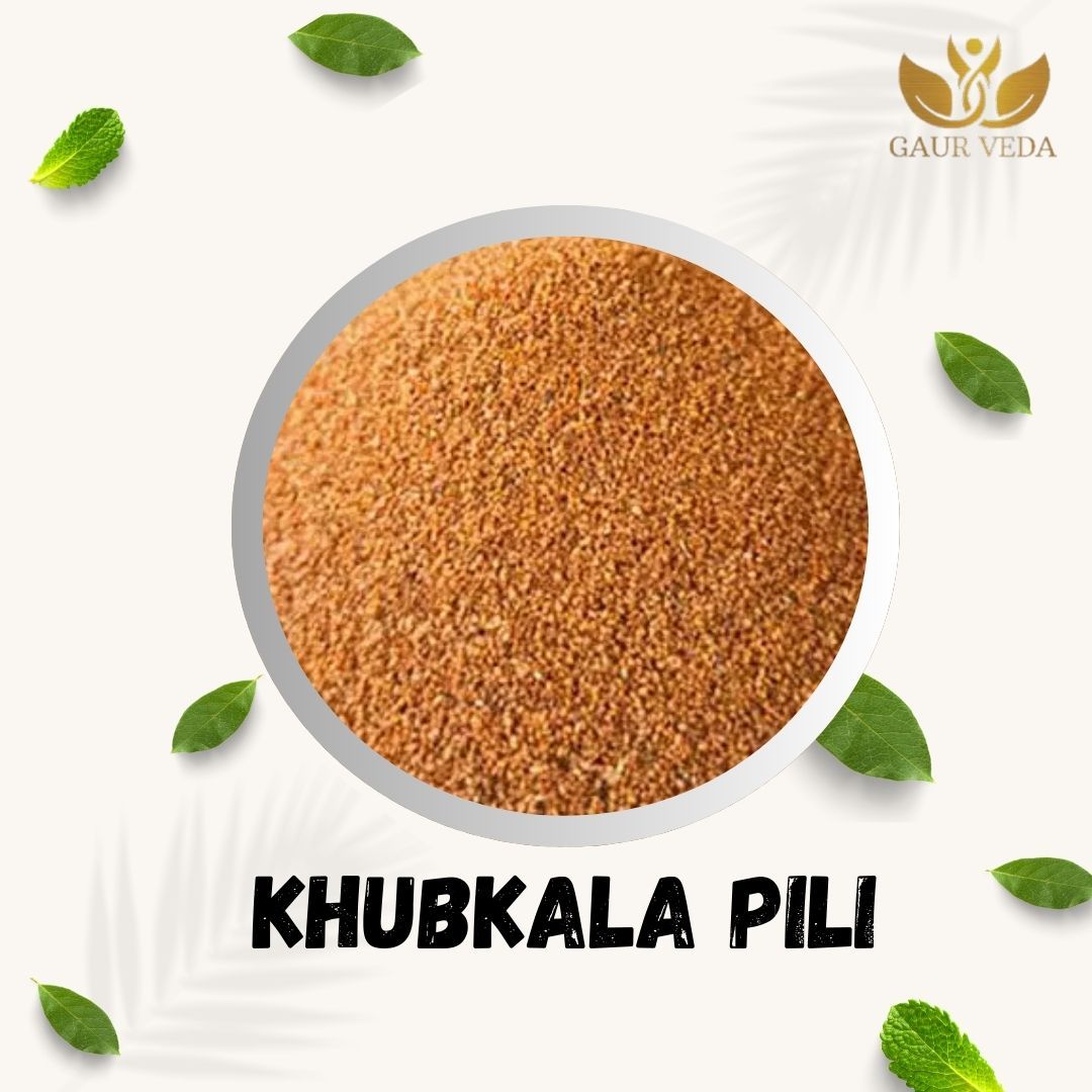 GAURVEDA Khubkala Pili - Authentic Indian Spice, Natural Flavor Enhancer, Food Ingredient for Cooking, Fresh Aroma (Specify Quantity) | 100 Grams
