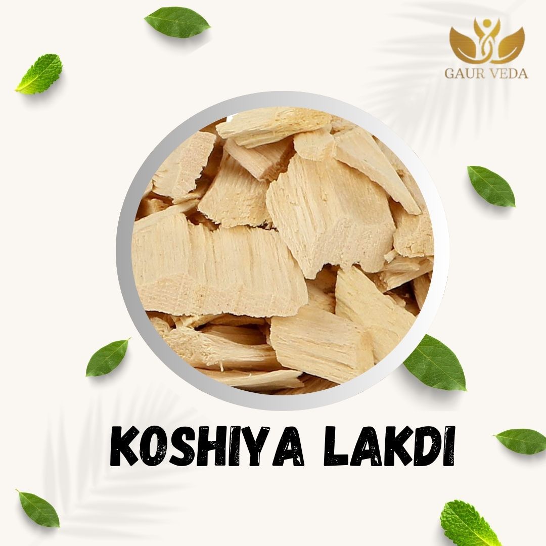 GAURVEDA Koshiya lakdi 100% Natural & Pure | Traditional Ayurvedic Herb/Seed/Powder | Supports Wellness & Daily Health | Ideal for Herbal Remedies, 100 Grams