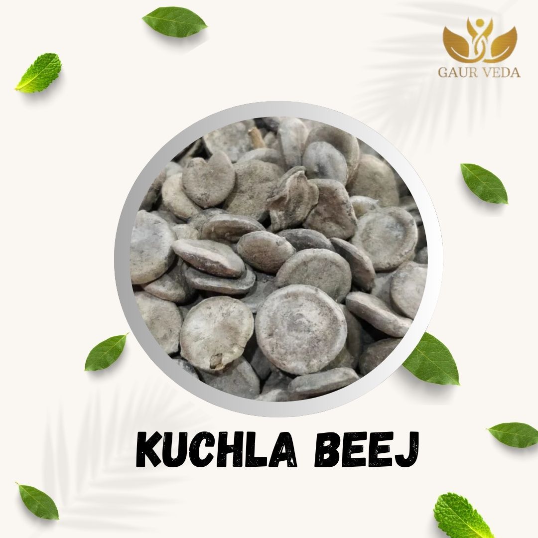 GAURVEDA Kuchla - Natural Ayurvedic Herb - | Support Overall Wellness & Vitality | Authentic Herbal Supplement for Well-being | 100 Grams