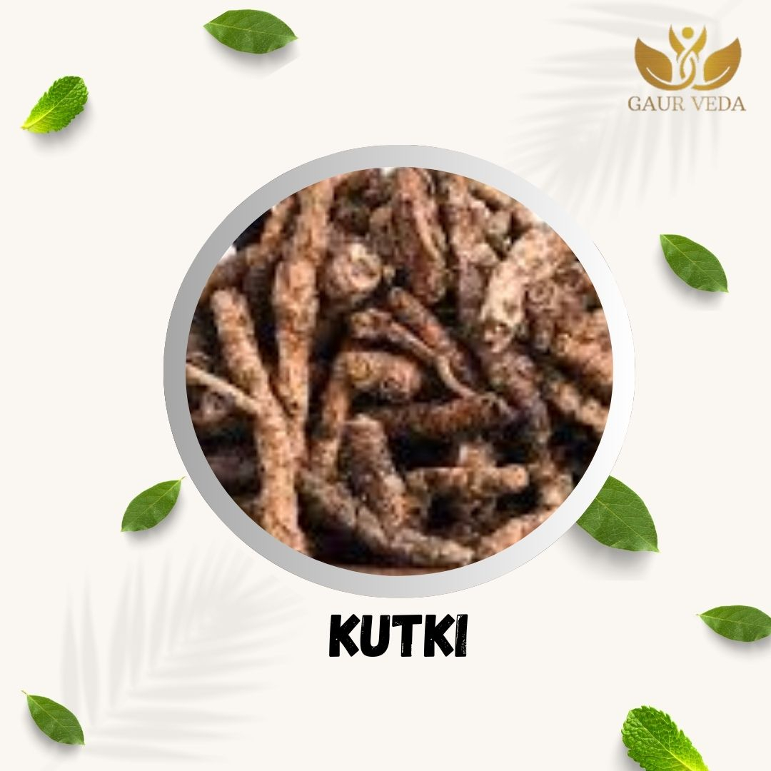 GAURVEDA Kutki 100% Natural & Pure | Traditional Ayurvedic Herb/Seed/Powder | Supports Wellness & Daily Health | Ideal for Herbal Remedies, 100 Grams{93