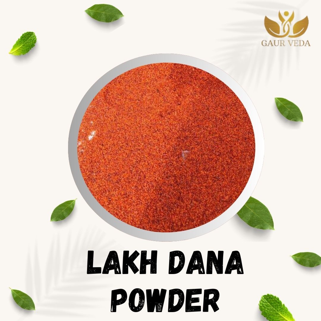 GAURVEDA Lakh Dana Powder 100% Natural & Pure | Traditional Ayurvedic Herb/Seed/Powder | Supports Wellness & Daily Health | Ideal for Herbal Remedies, 100 Grams