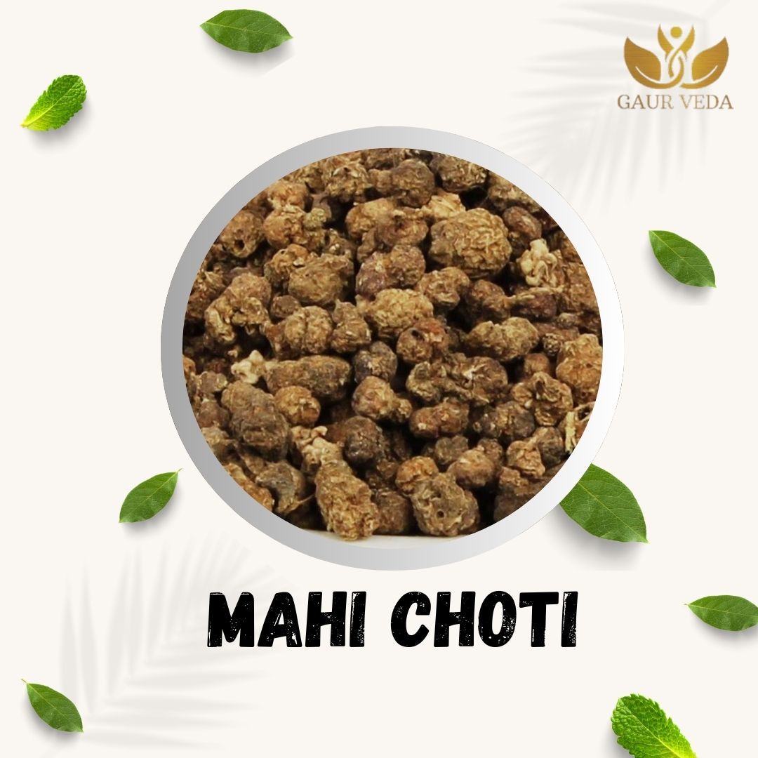 GAURVEDA Mahi choti 100% Natural & Pure | Traditional Ayurvedic Herb/Seed/Powder | Supports Wellness & Daily Health | Ideal for Herbal Remedies, 100 Grams