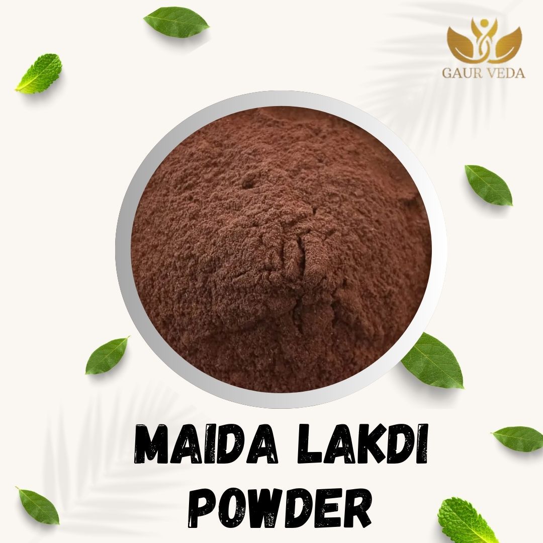 GAURVEDA Maida lakdi Powder 100% Natural & Pure | Traditional Ayurvedic Herb/Seed/Powder | Supports Wellness & Daily Health | Ideal for Herbal Remedies, 100 Grams
