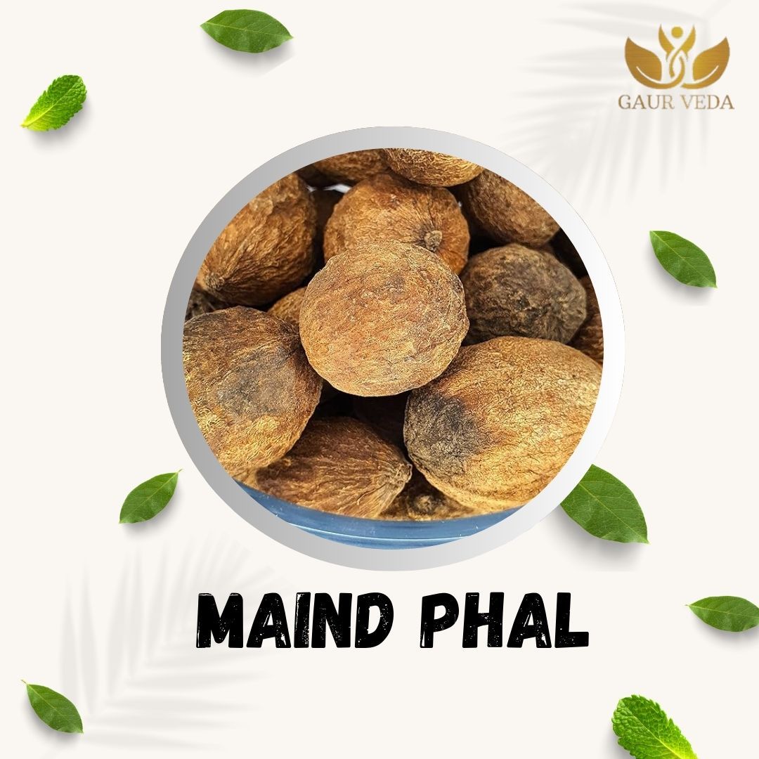 GAURVEDA Maind phal 100% Natural & Pure | Traditional Ayurvedic Herb/Seed/Powder | Supports Wellness & Daily Health | Ideal for Herbal Remedies, 100 Grams