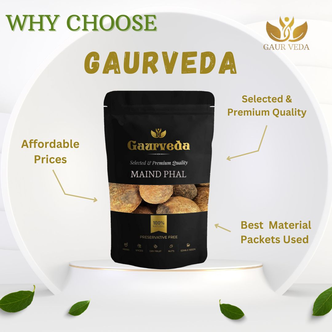 GAURVEDA Maind phal 100% Natural & Pure | Traditional Ayurvedic Herb/Seed/Powder | Supports Wellness & Daily Health | Ideal for Herbal Remedies, 100 Grams