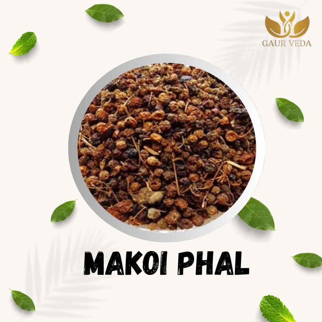 GAURVEDA Makoi phal 100% Natural & Pure | Traditional Ayurvedic Herb/Seed/Powder | Supports Wellness & Daily Health | Ideal for Herbal Remedies, 100 Grams