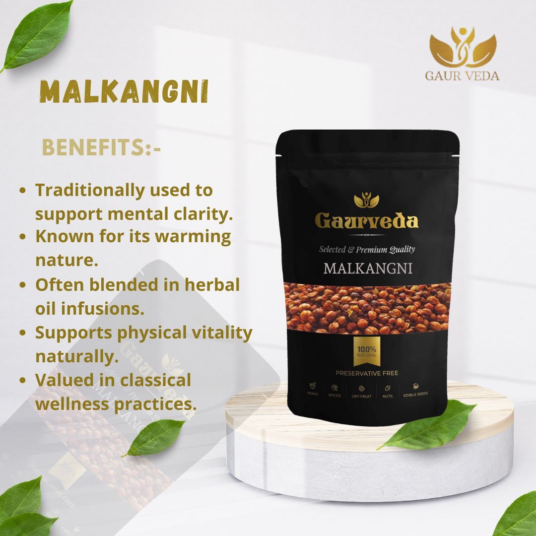 GAURVEDA Malkangni - Malkangni Beej - Malkangni Seed - Jyostishmati - Mal Kangni - Pure & Natural (100 Grams)
