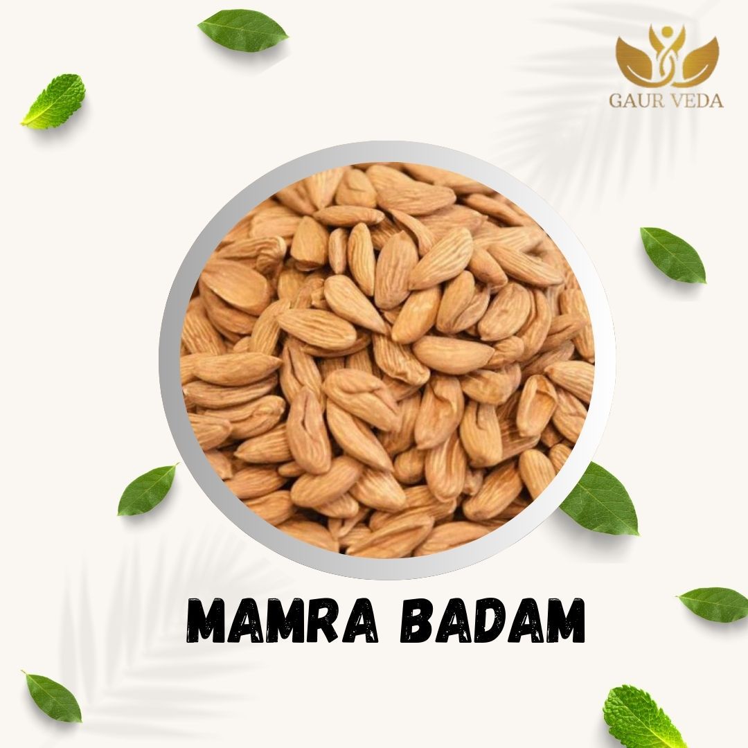 Gaurveda Almonds Mamra - (Grade A ++ Nuts, Premium,Rich In Oil, Imported) Richest Natural Source of Vitamins, Magnesium & Protien | Special Mamra Badam Giri (100 Grams)