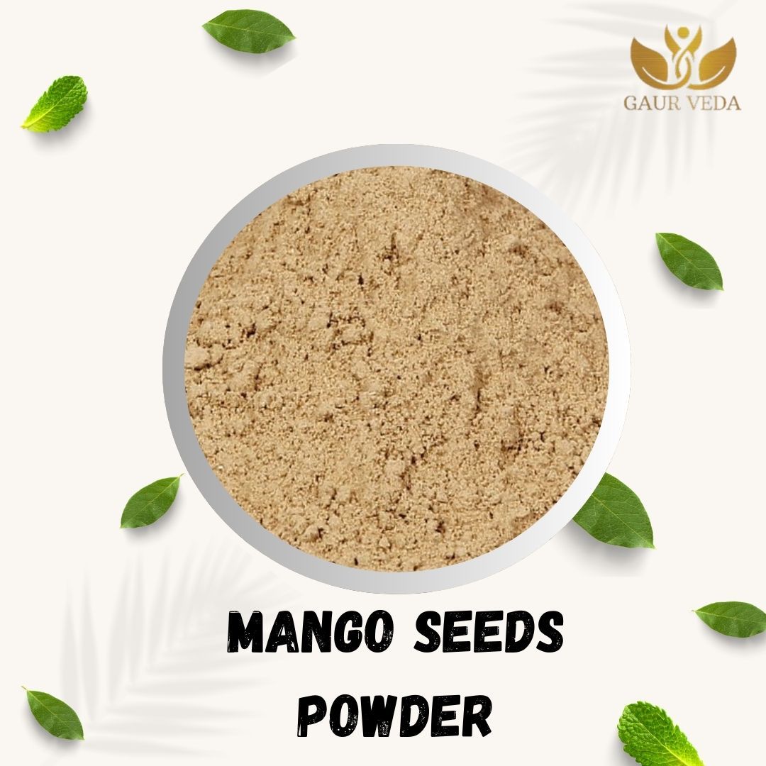 GAURVEDA Aam Guthli Powder 100% Natural & Pure | Traditional Ayurvedic Herb/Seed/Powder | Supports Wellness & Daily Health | Ideal for Herbal Remedies, 1000 Grams