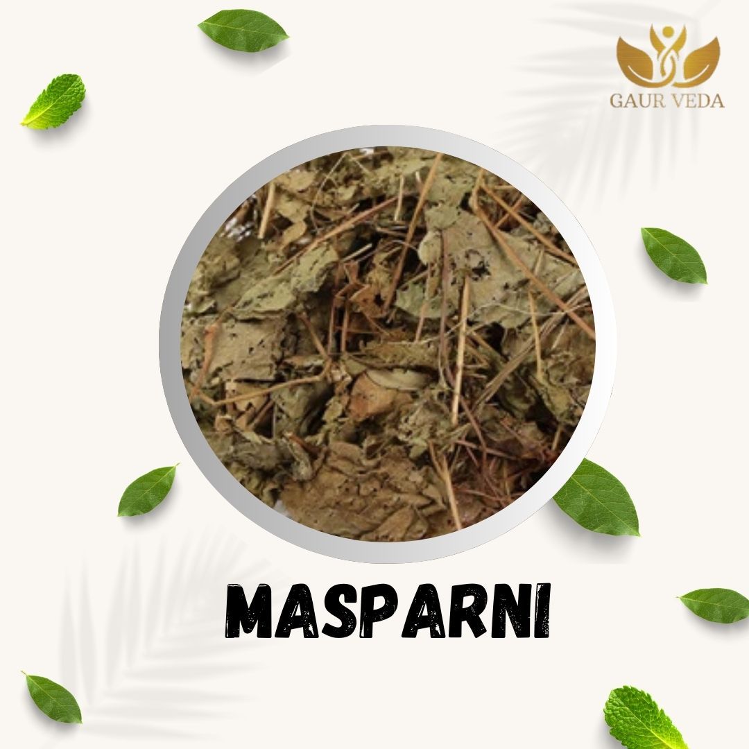 GAURVEDA Masparni 100% Natural & Pure | Traditional Ayurvedic Herb/Seed/Powder | Supports Wellness & Daily Health | Ideal for Herbal Remedies, 100 Grams