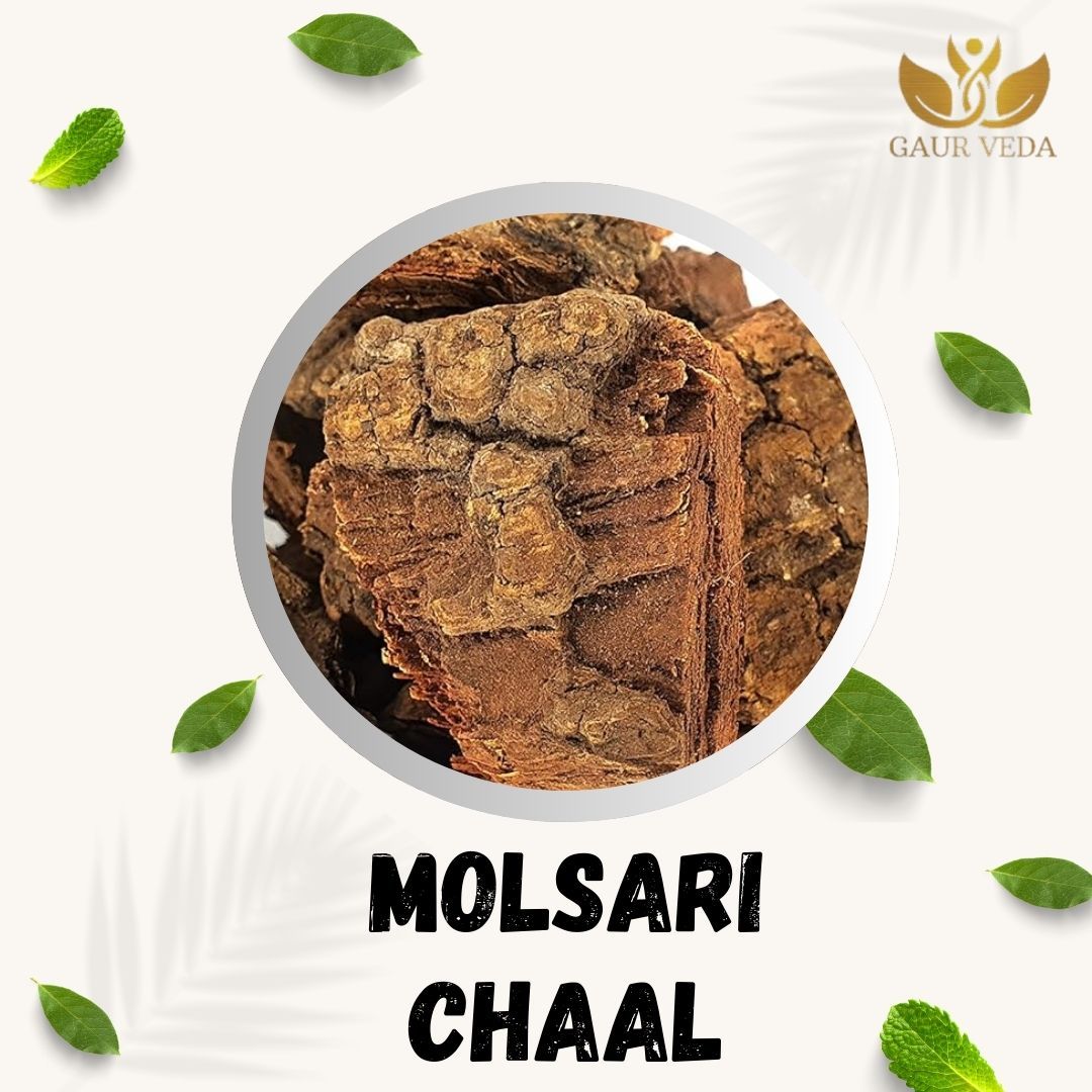 GAURVEDA Molsari chaal 100% Natural & Pure | Traditional Ayurvedic Herb/Seed/Powder | Supports Wellness & Daily Health | Ideal for Herbal Remedies, 100 Grams