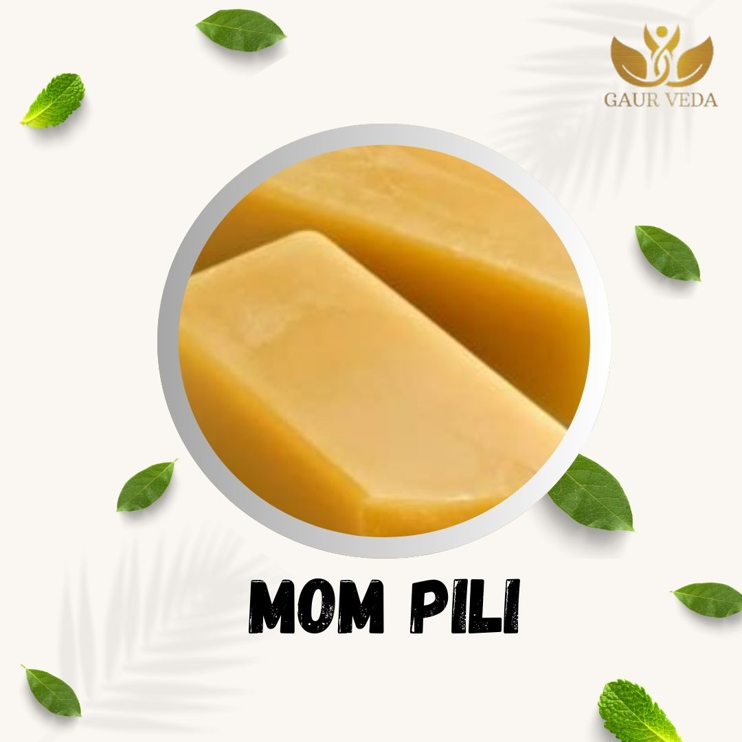 GAURVEDA Mom pila 100% Natural & Pure | Traditional Ayurvedic Herb/Seed/Powder | Supports Wellness & Daily Health | Ideal for Herbal Remedies, 100 Grams