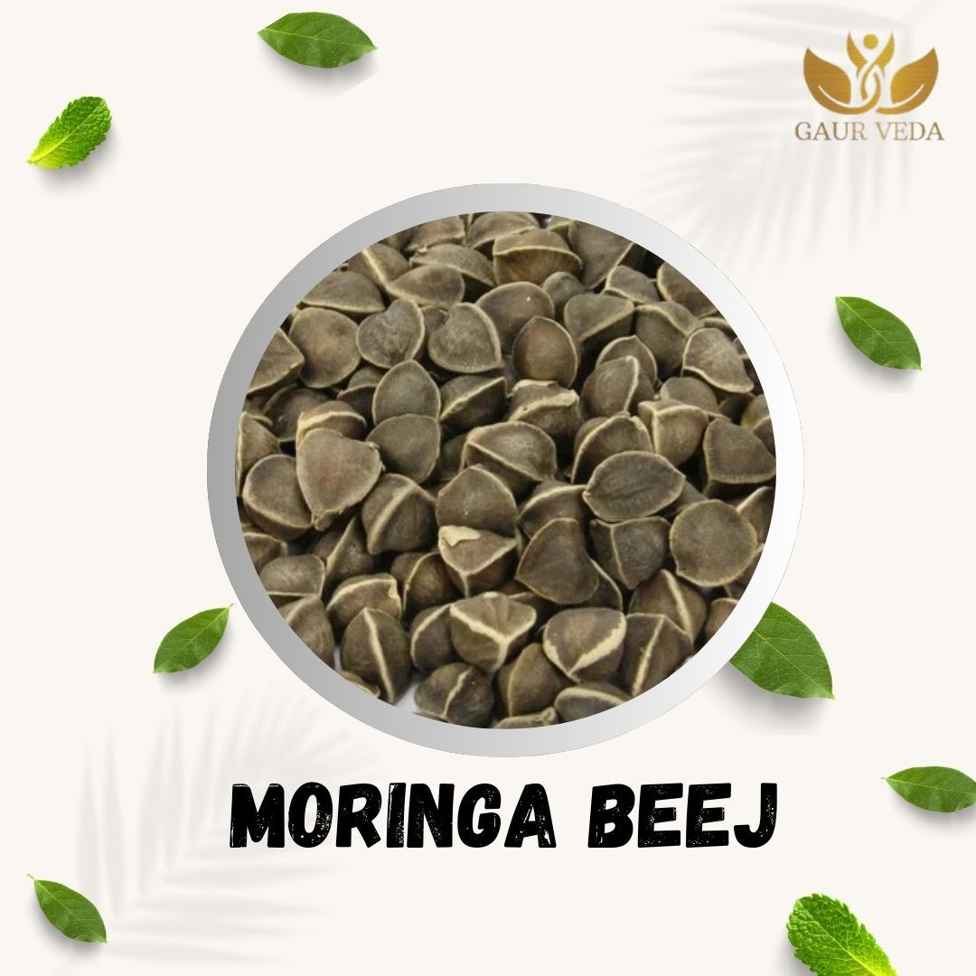 GAURVEDA Moringa Beej (Seeds) - Nutrient-Rich Superfood for Enhanced Wellness, Natural Energy, Immunity Booster & Overall Health - 100% Pure & Natural | 100 Grams