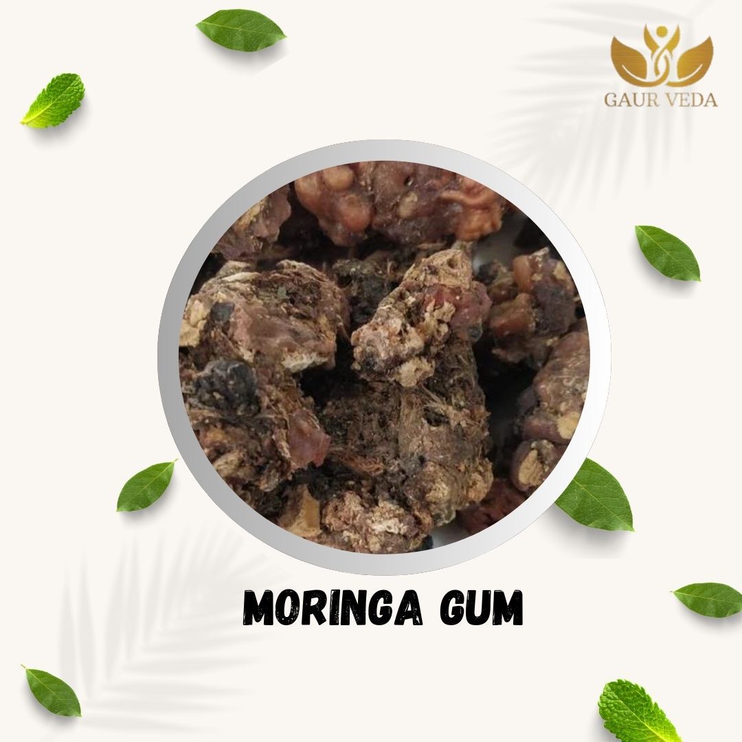 GAURVEDA Gond Moringa (100 Gm) - For Healthy Lifestyle - Pure & Natural