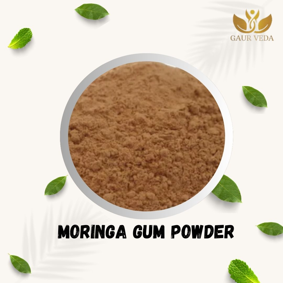 GAURVEDA Gond Moringa Powder (100 Gm) - For Healthy Lifestyle - Pure & Natural