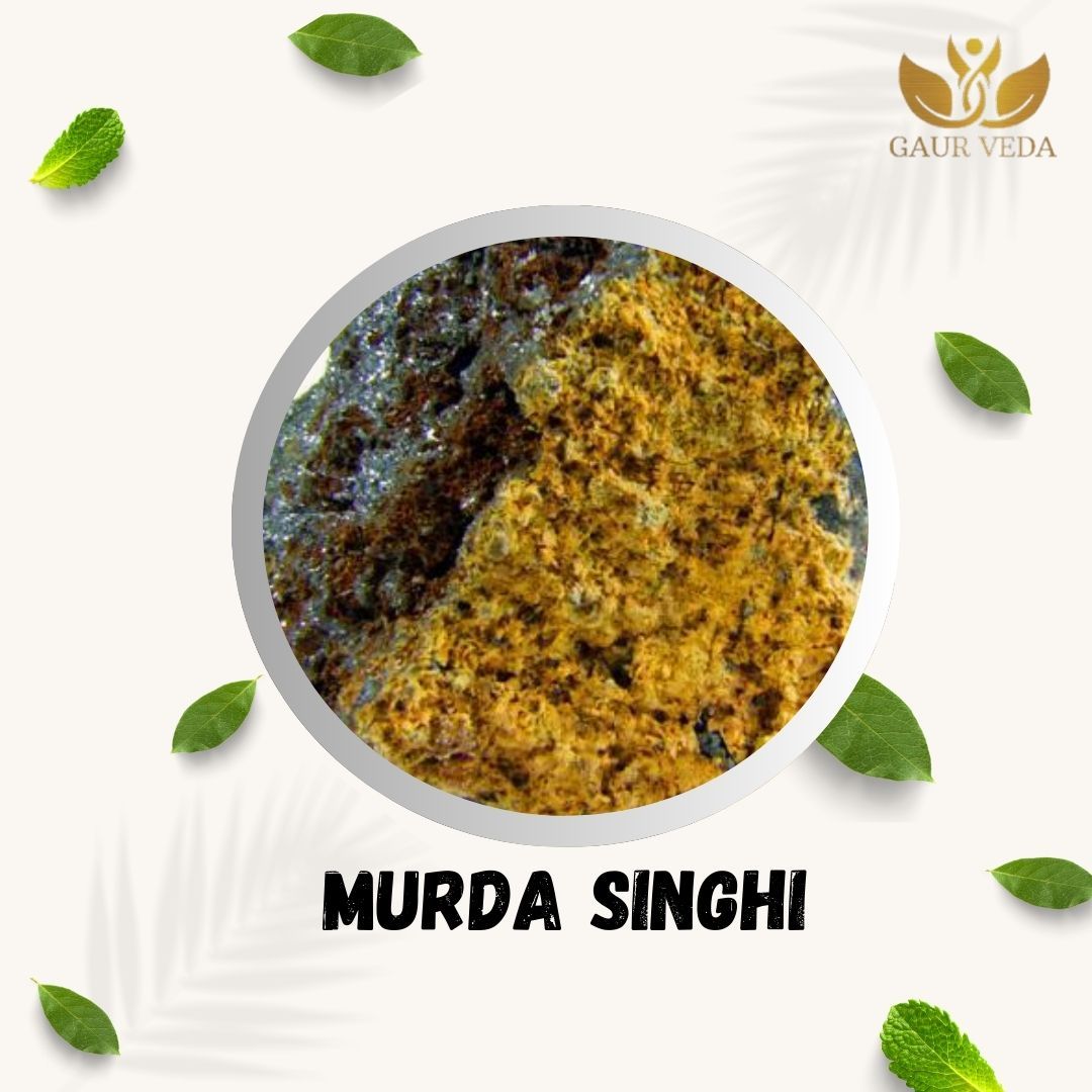 Gaurveda Murda Singi Raw - Triplumbic Tetroxid - Murdar Seng - Litharge (100 Grams)